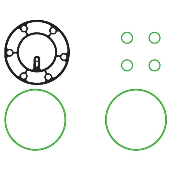 Uszczelnienie kompresora Delphi V5